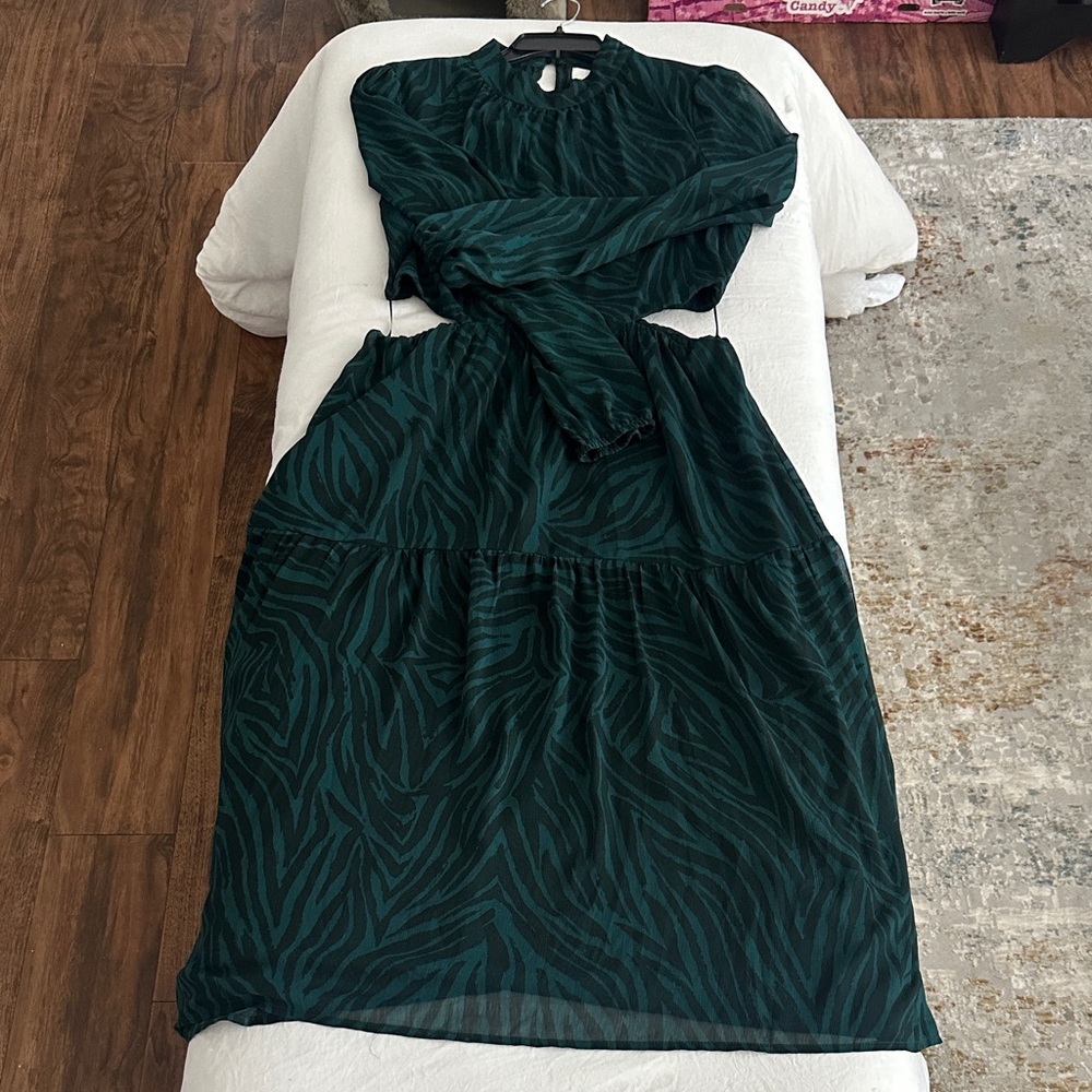 Chic Teal Zebra Print Long Sleeve Dress